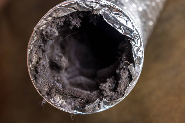 Best Home Air Vent Cleaning  in Saxon, SC